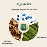 Root Labs Liposomal Magnesium + Ashwagandha Gummies with Beadlet Technology