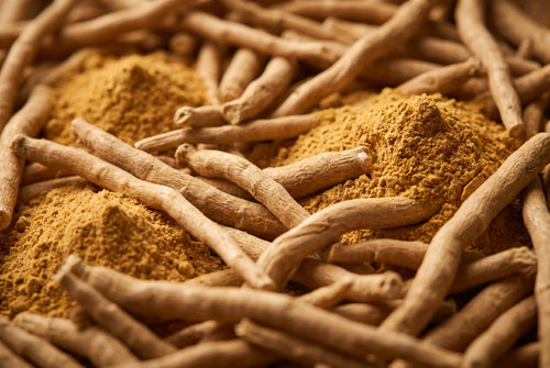 KSM-66 ashwagandha root ingredient