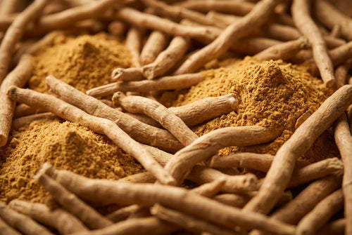 KSM-66 ashwagandha root ingredient