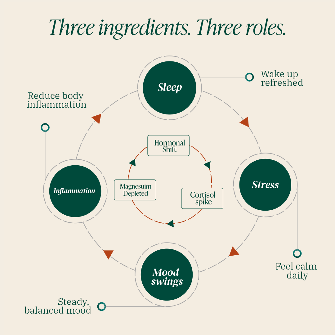 Three ingredients, three roles. Inner ring shows the perimenopause cycle (Hormonal Shift, Cortisol Spike, Magnesium Depleted) and outer ring maps each to AshwaMag's effects on Sleep, Stress, Mood swings, and Inflammation.