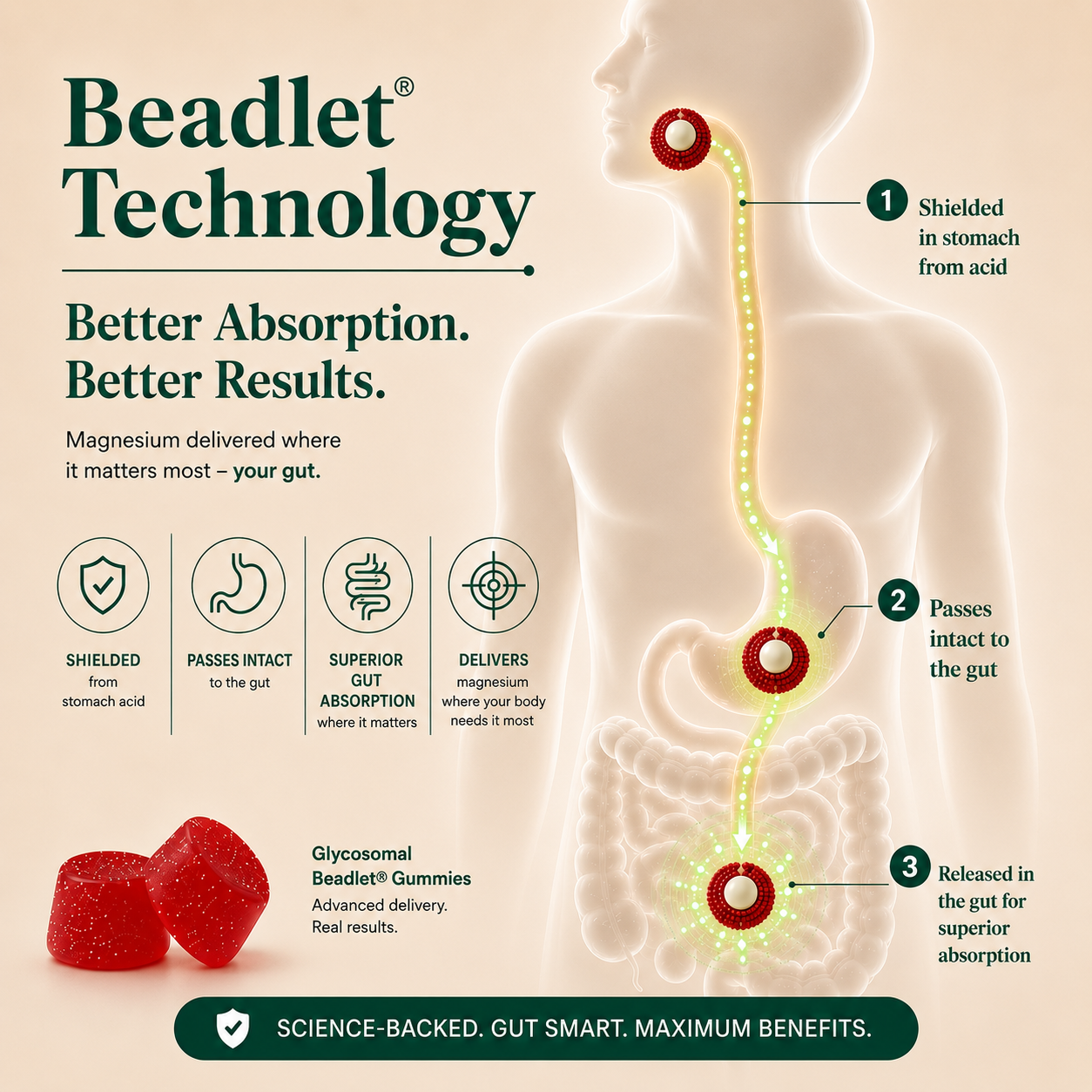 Beadlet technology
