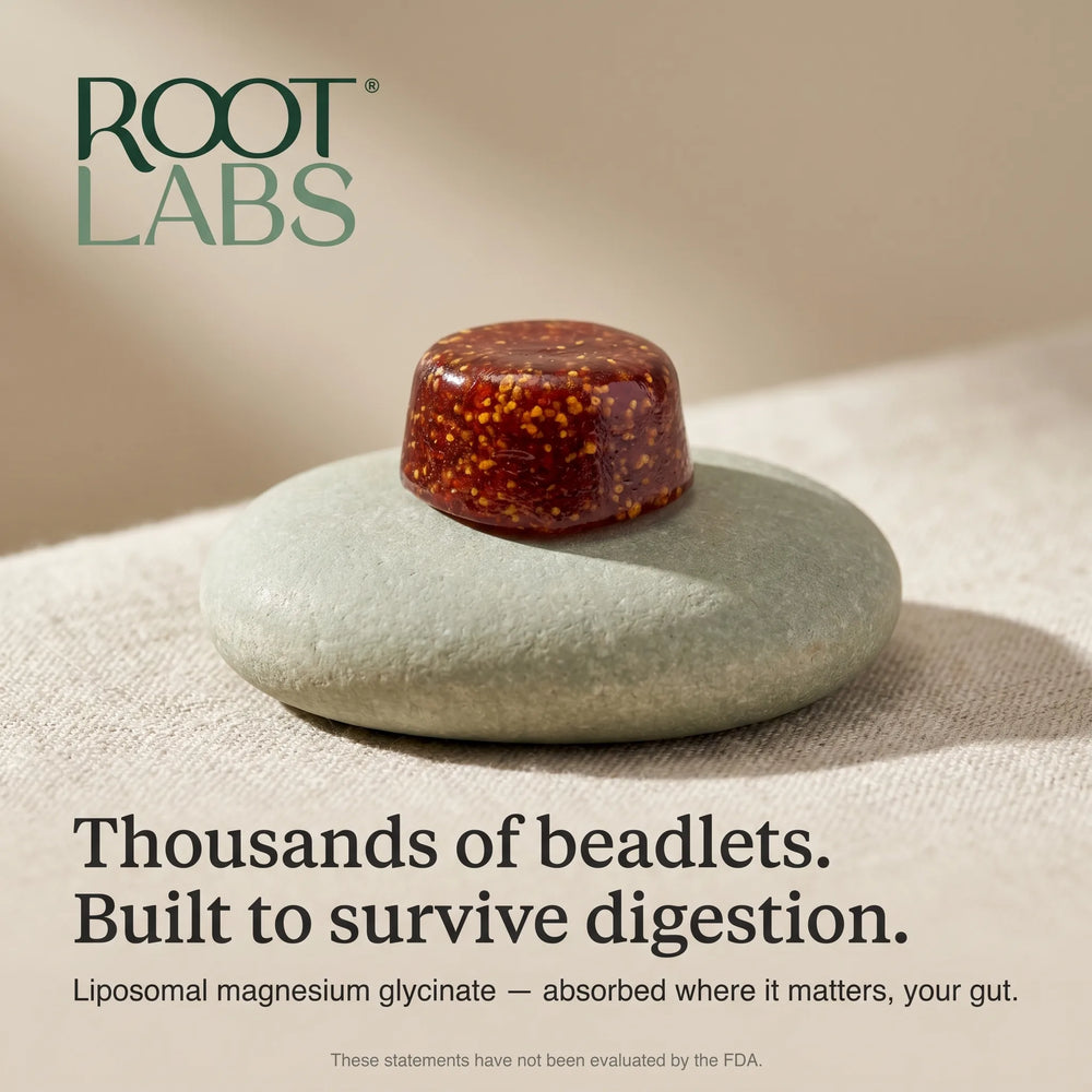 How liposomal beadlets reach the bloodstream