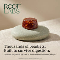 Digestion path
